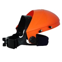 Browguard (B10)