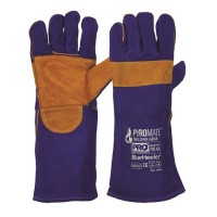 Blue & Gold Gloves